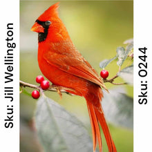 Load image into Gallery viewer, Sitting Cardinal - Square Drill AB
