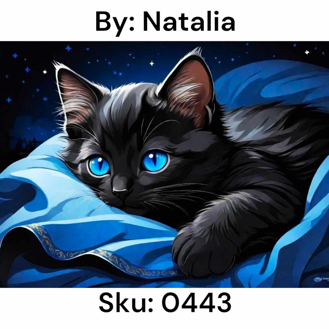 Blue Eyed Black Cat - Square Drill AB