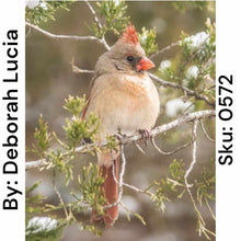 Load image into Gallery viewer, Female Cardinal - Round Drill AB
