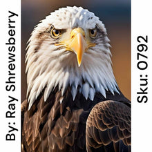 Load image into Gallery viewer, Bald Eagle - Round Drill AB
