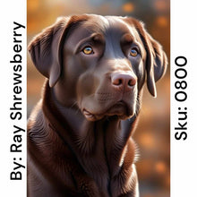 Load image into Gallery viewer, Chocolate Lab - Round Drill AB
