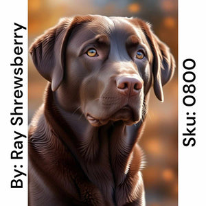 Chocolate Lab - Round Drill AB