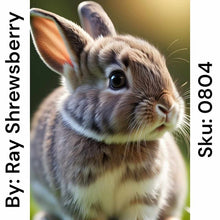 Load image into Gallery viewer, Bunny Rabbit - Round Drill AB
