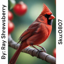 Load image into Gallery viewer, Cardinal on a Branch - Round Drill AB
