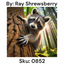 Load image into Gallery viewer, Surprise Racoon - Round Drill AB
