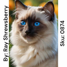 Load image into Gallery viewer, Blue Eyed Siamese - Square Drill AB
