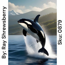 Load image into Gallery viewer, Orca Whale - Round Drill AB
