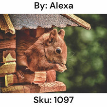 Load image into Gallery viewer, Squirrel House - Round Drill AB
