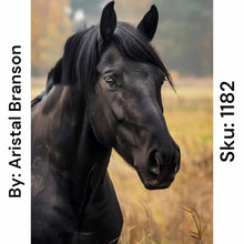 Load image into Gallery viewer, Black Stallion - Square Drill AB
