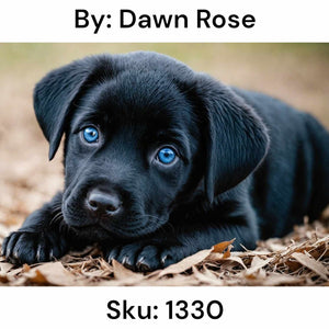 Black Lab Puppy - Round Drill AB