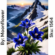 Load image into Gallery viewer, Blue Mountain Flowers - Square Drill AB
