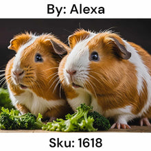 Load image into Gallery viewer, Guinea Pig Duo - Square Drill AB
