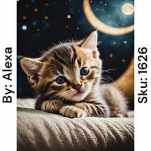 Load image into Gallery viewer, Moonlit Kitten - Round Drill AB
