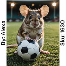 Load image into Gallery viewer, Soccer Mouse - Round Drill AB
