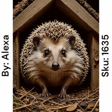 Load image into Gallery viewer, Hedgehog House - Square Drill AB
