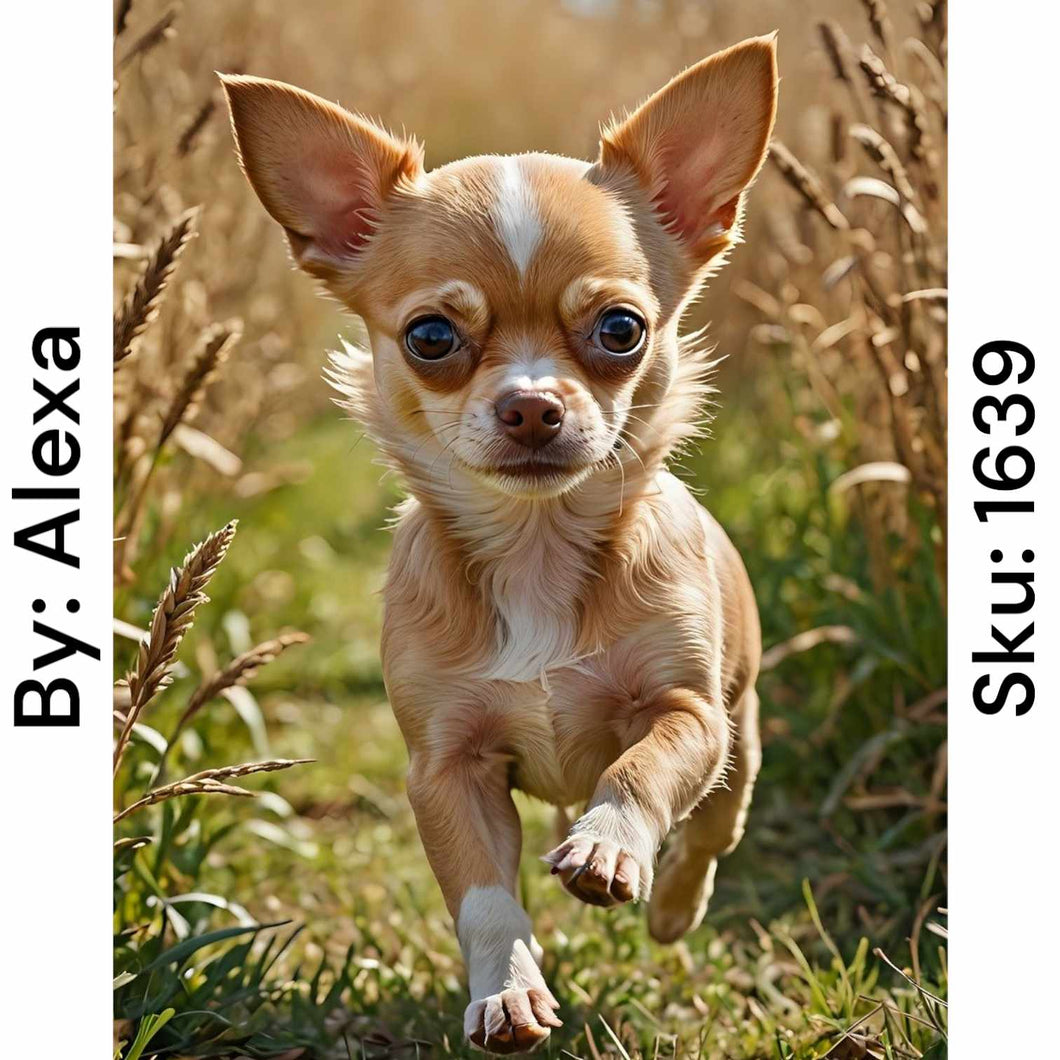 Tan Chihuahua - Round Drill AB