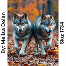 Load image into Gallery viewer, Roaming Wolves - Square Drill AB
