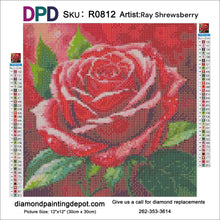 Load image into Gallery viewer, Red Rose Head - Round Drill AB
