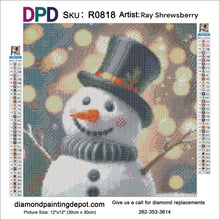 Load image into Gallery viewer, Snowman - Round Drill AB
