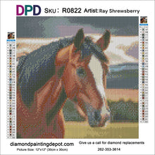 Load image into Gallery viewer, Brown Horse Head - Round Drill AB
