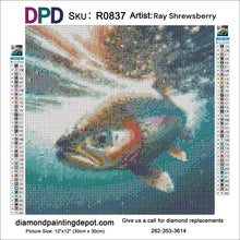 Load image into Gallery viewer, Rainbow Trout - Round Drill AB
