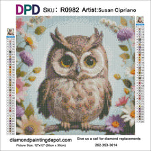 Load image into Gallery viewer, Cute Floral Owl - Round Drill AB
