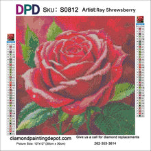 Load image into Gallery viewer, Red Rose Head - Square Drill AB
