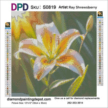 Load image into Gallery viewer, Golden Lily - Square Drill AB
