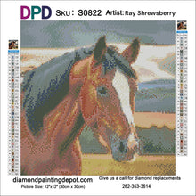 Load image into Gallery viewer, Brown Horse Head - Square Drill AB
